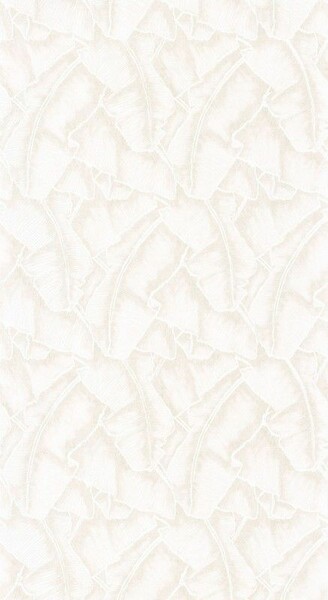 Big_8432_00_30_swht_1