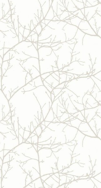 Big_1696_02_12_swht_1