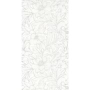 Thumb_8235_01_01_swht_1