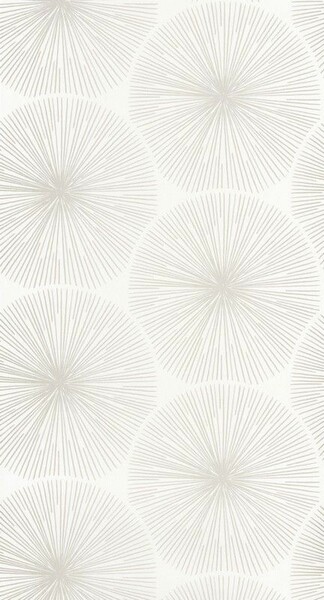 Big_8204_01_24_swht_1