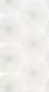 Thumb_8204_01_24_swht_1