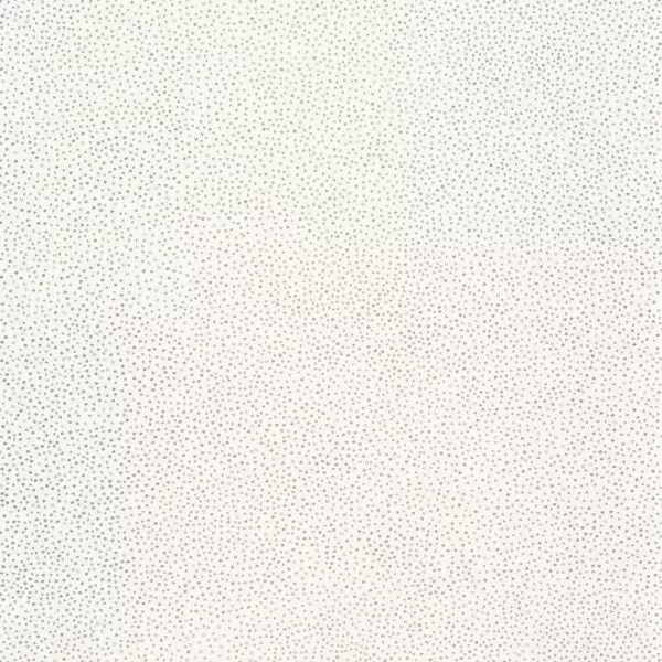 Big_10173_00_99_swt_1