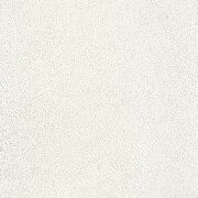 Thumb_10173_00_99_swt_1