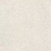Thumb_10173_00_20_swt_1