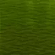 Thumb_7540_08_f_1