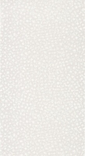 Big_8454_02_08_swht_1