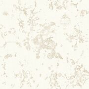 Thumb_8398_12_11_swht_1