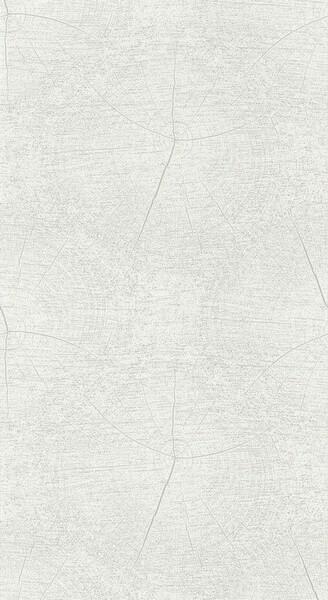 Big_8376_01_01_swht_1