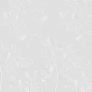 Thumb_9804_110_1