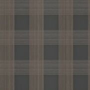 Thumb_3531_376_1