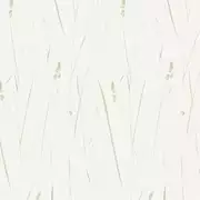Thumb_8005_133_1