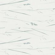 Thumb_8005_164_1