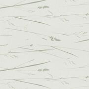 Thumb_8005_184_1