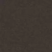 Thumb_2610_976_1