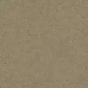 Thumb_2610_883_1