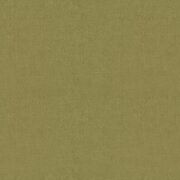 Thumb_2610_843_1