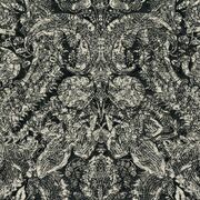 Thumb_30405_01_1