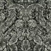 Thumb_30405_01_1