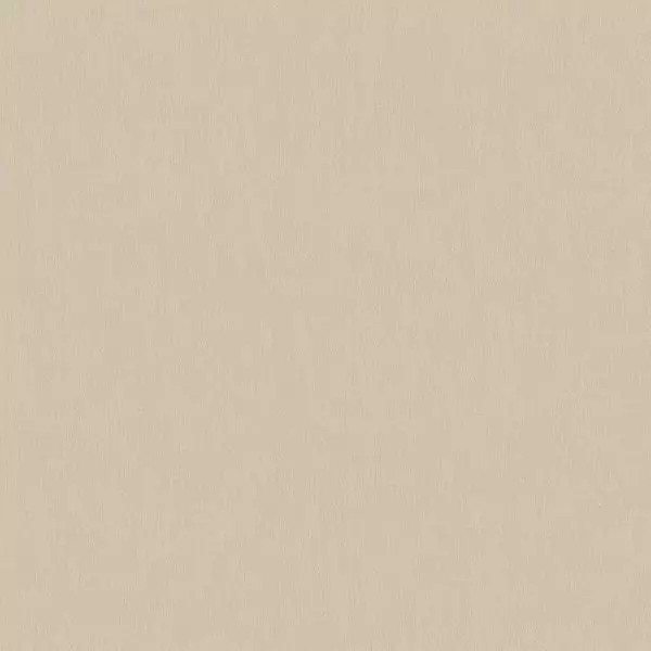 Big_1125_333_1