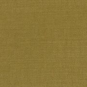 Thumb_madison_auth_iv_yp12072_1