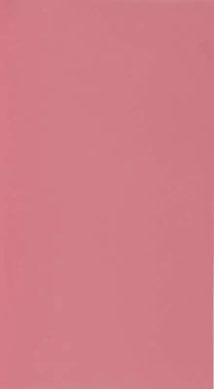 Big_6986_46_00_roni_1