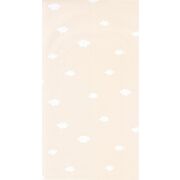 Thumb_2975_12_96_roni_1