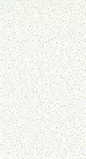 Thumb_8563_10_33_roni_1