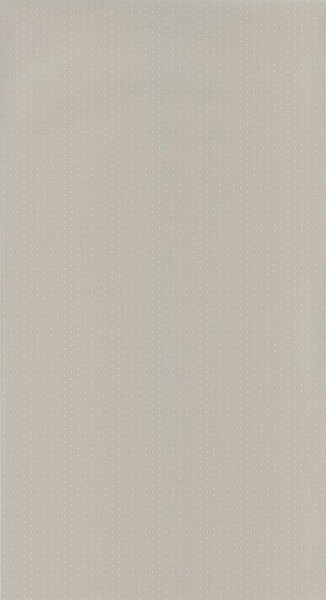 Big_2979_11_18_roni_1