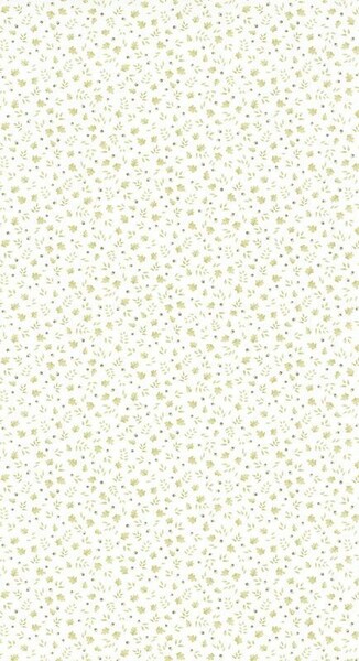 Big_8563_72_11_roni_1