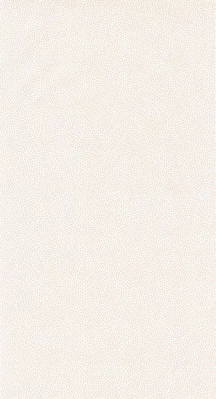 Big_8552_43_78_roni_1