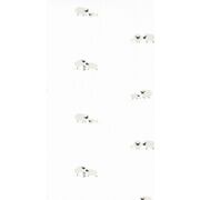 Thumb_8556_92_13_roni_1