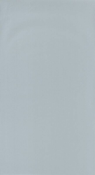 Big_2969_61_11_roni_1