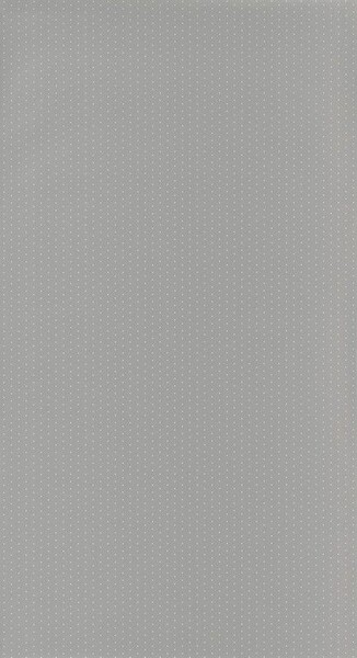 Big_2979_15_23_roni_1