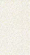 Thumb_8554_11_10_roni_1