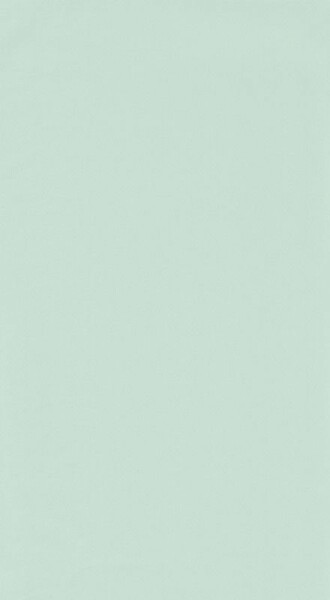 Big_6986_79_10_roni_1