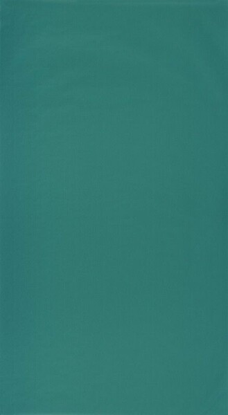 Big_6986_77_17_roni_1