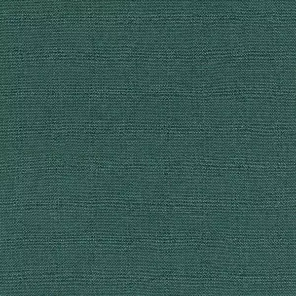 Big_coberly_yp17027_1