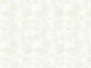 Thumb_226_21_1