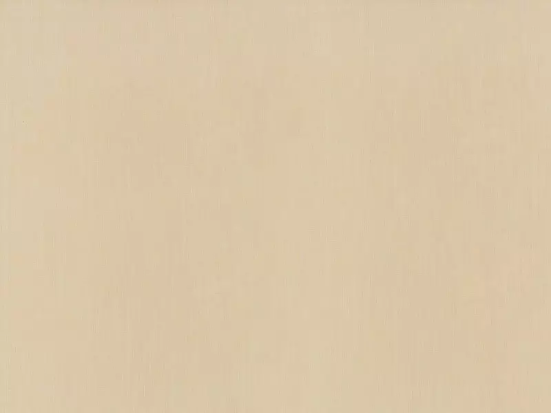 Big_237_21_1