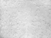 Thumb_231_11_1