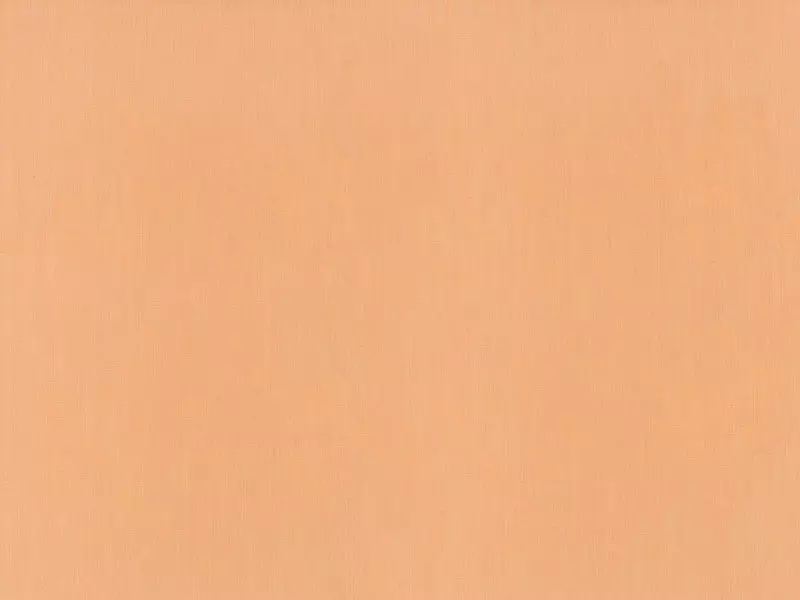 Big_237_33_1