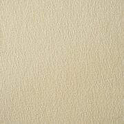 Thumb_loft_agave_354_1