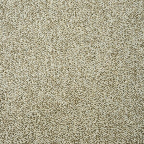 Big_loft_agave_365_1