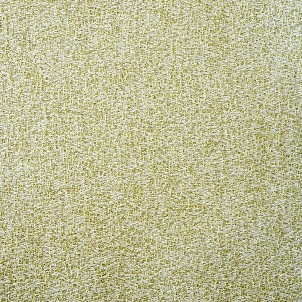 Big_loft_agave_350_1