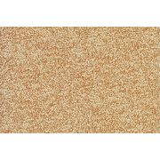 Thumb_loft_agave_451_1