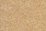 Thumb_loft_agave_451_1