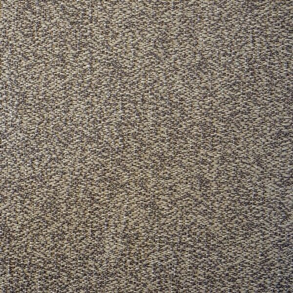 Big_loft_agave_379_1