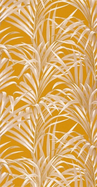 Big_2892_23_18_mnct_1