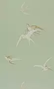 Thumb_dviwsw102_1