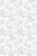 Thumb_7564_01_f_1